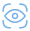 vision icon